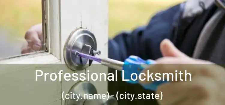 Professional Locksmith (city.name) - (city.state)